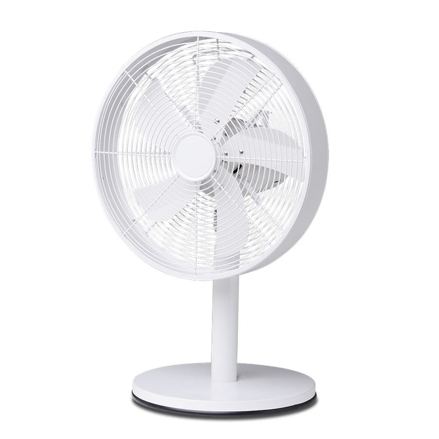 Вентилятор Теплоснаб 12 Desk Fan